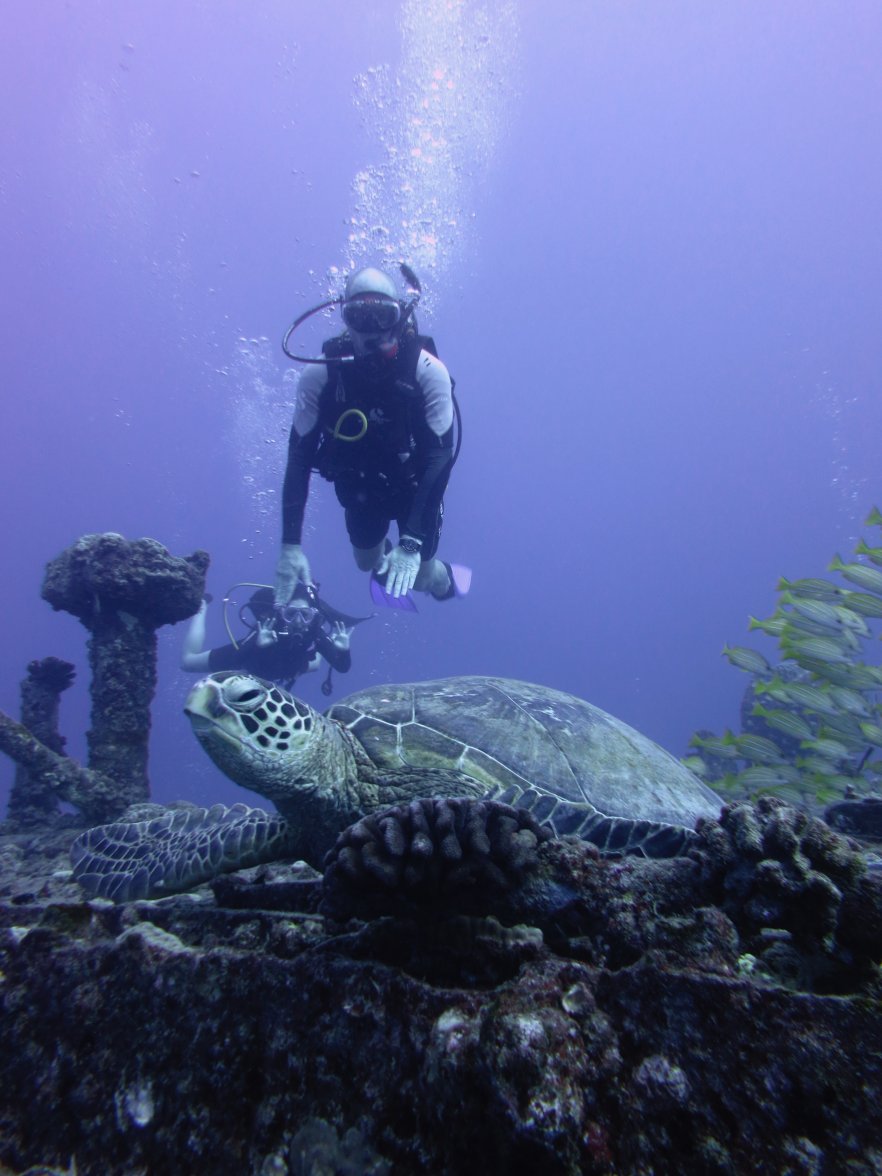 IMG_0058.jpg IMG_0058.jpg