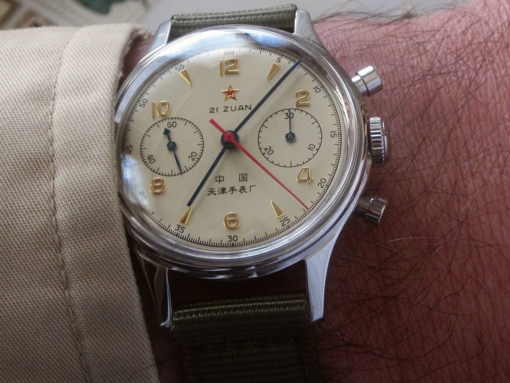 Seagull ws 2 IMG_8819.jpg