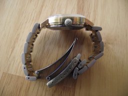 DSCF0694 (1024x768).jpg