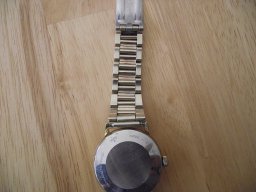 DSCF0697 (1024x768).jpg