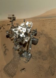 curiosity-mahli-zoom.jpg