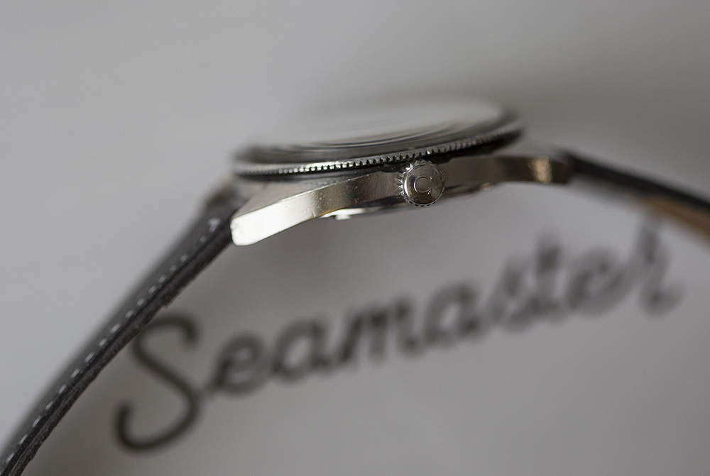 _MG_9583.jpg _MG_9583.jpg