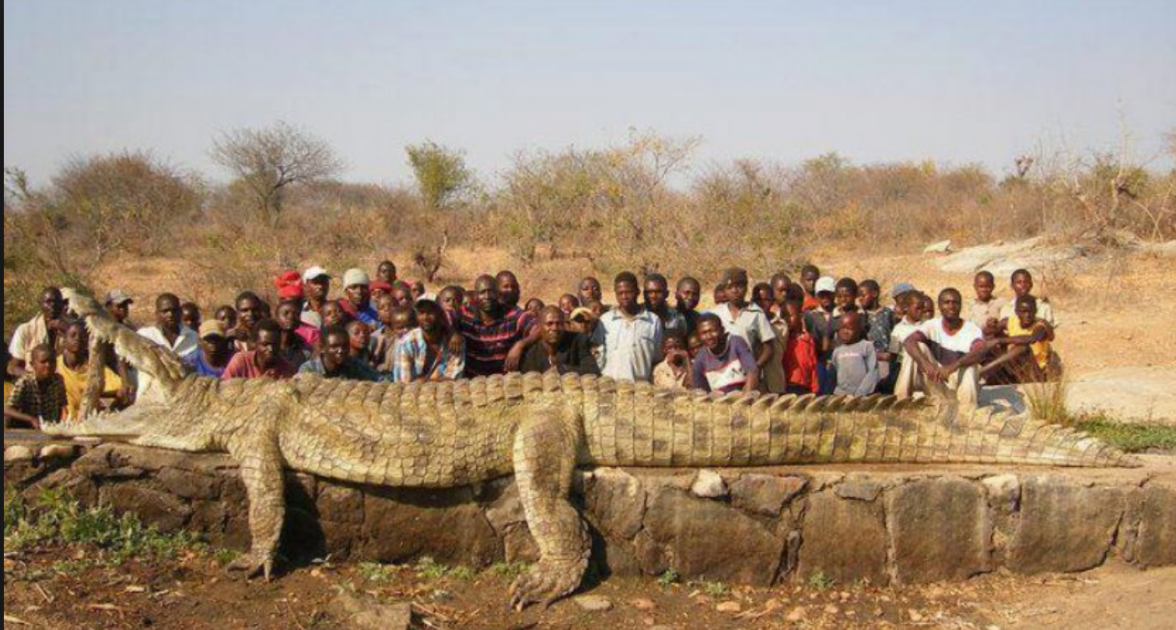 Screen Shot 2019-02-06 at 12.35.44 PM.png