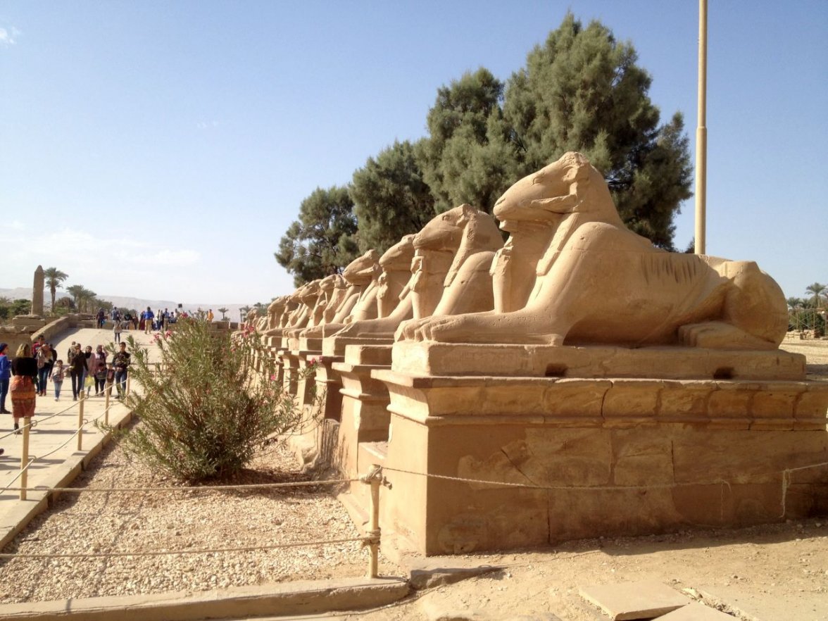 Ave of ram headed sphyines IMG_6915.jpg