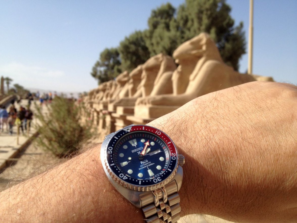 Ave of ram headed sphynxes PADI IMG_6916.jpg