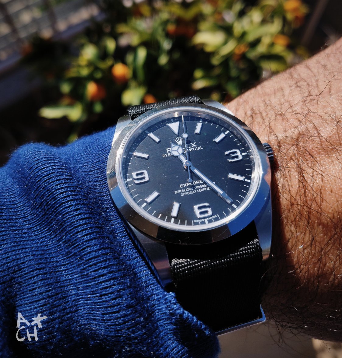 2019-02-02 12.17.20 1.jpg