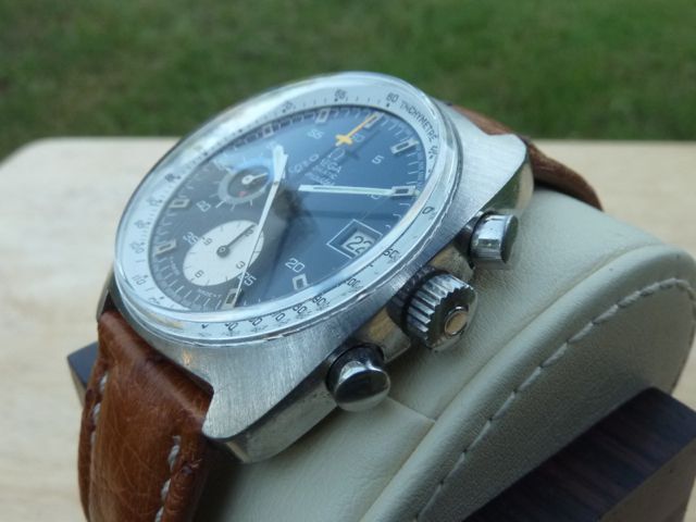 P1020448.jpg P1020448.jpg