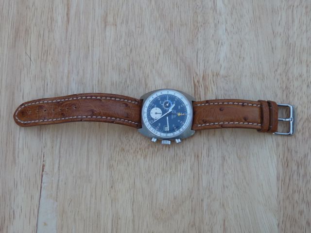 P1020453.jpg P1020453.jpg