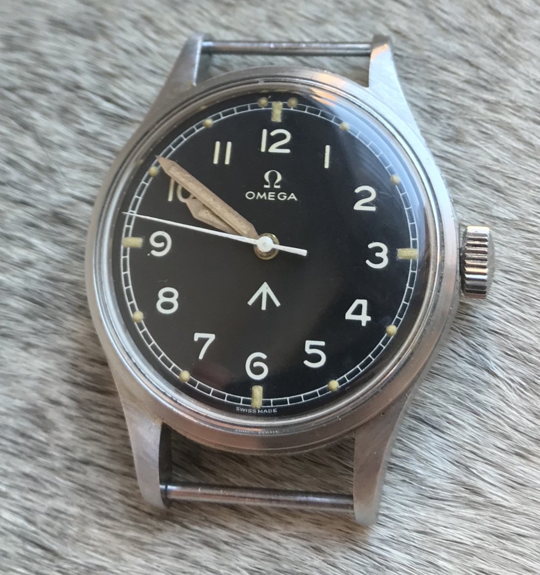 6E391DE8-E60C-4488-8DFB-9425388DB691.jpeg 6E391DE8-E60C-4488-8DFB-9425388DB691.jpeg