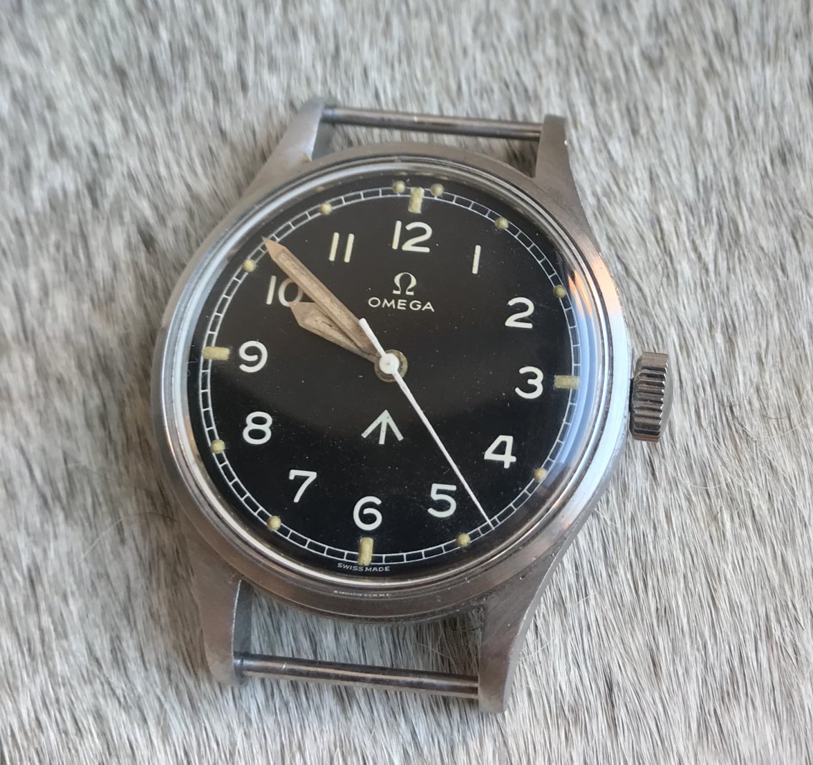 7D995CCF-14E1-41BC-A18A-9AE162BB96D6.jpeg 7D995CCF-14E1-41BC-A18A-9AE162BB96D6.jpeg