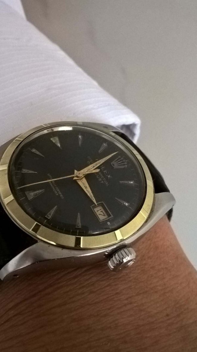 Nice Photo of Black Beauty.jpg