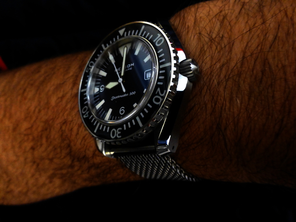 step0004 shark 01.jpg