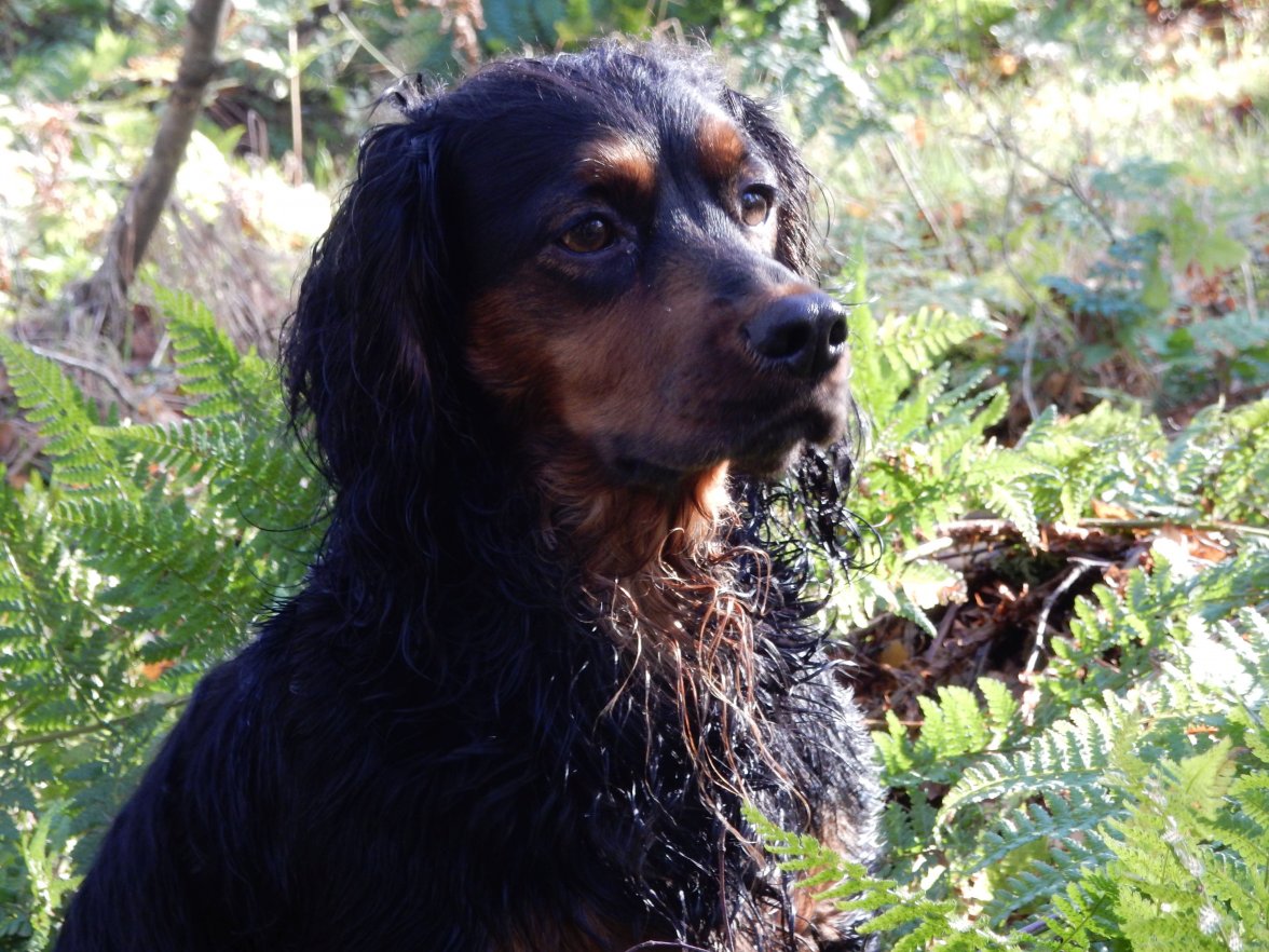 KASH HAZEL HILL 2.jpg