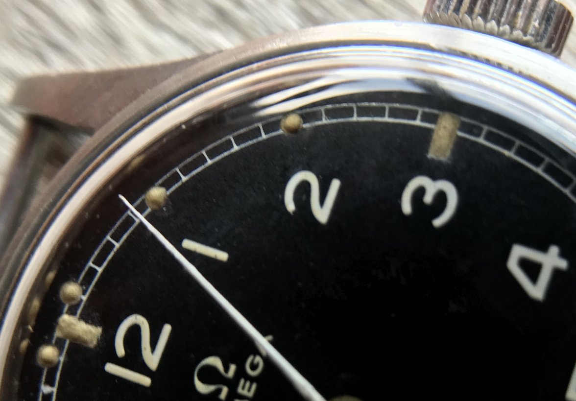 99284B31-9328-4262-8539-6CC140D42757.jpeg 99284B31-9328-4262-8539-6CC140D42757.jpeg