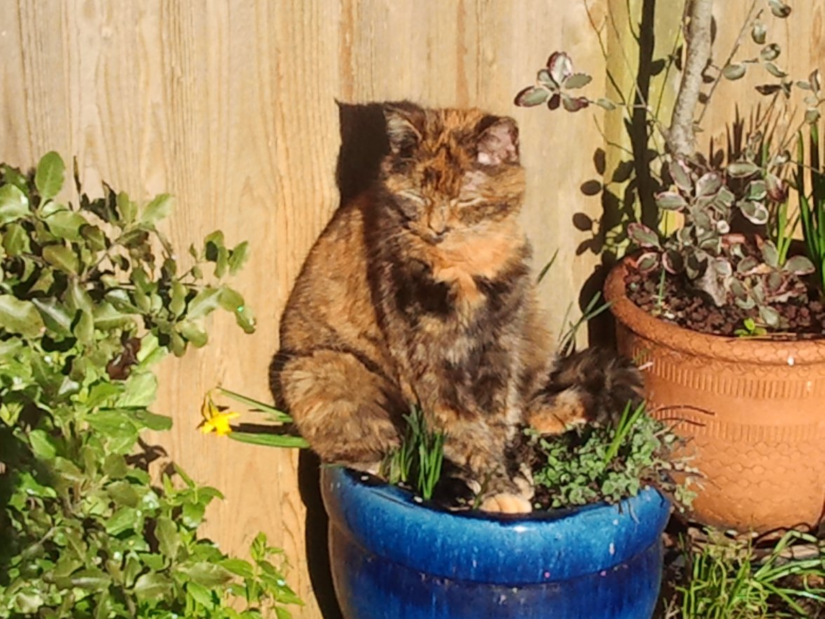 2019-02-19 09.12.53.jpg