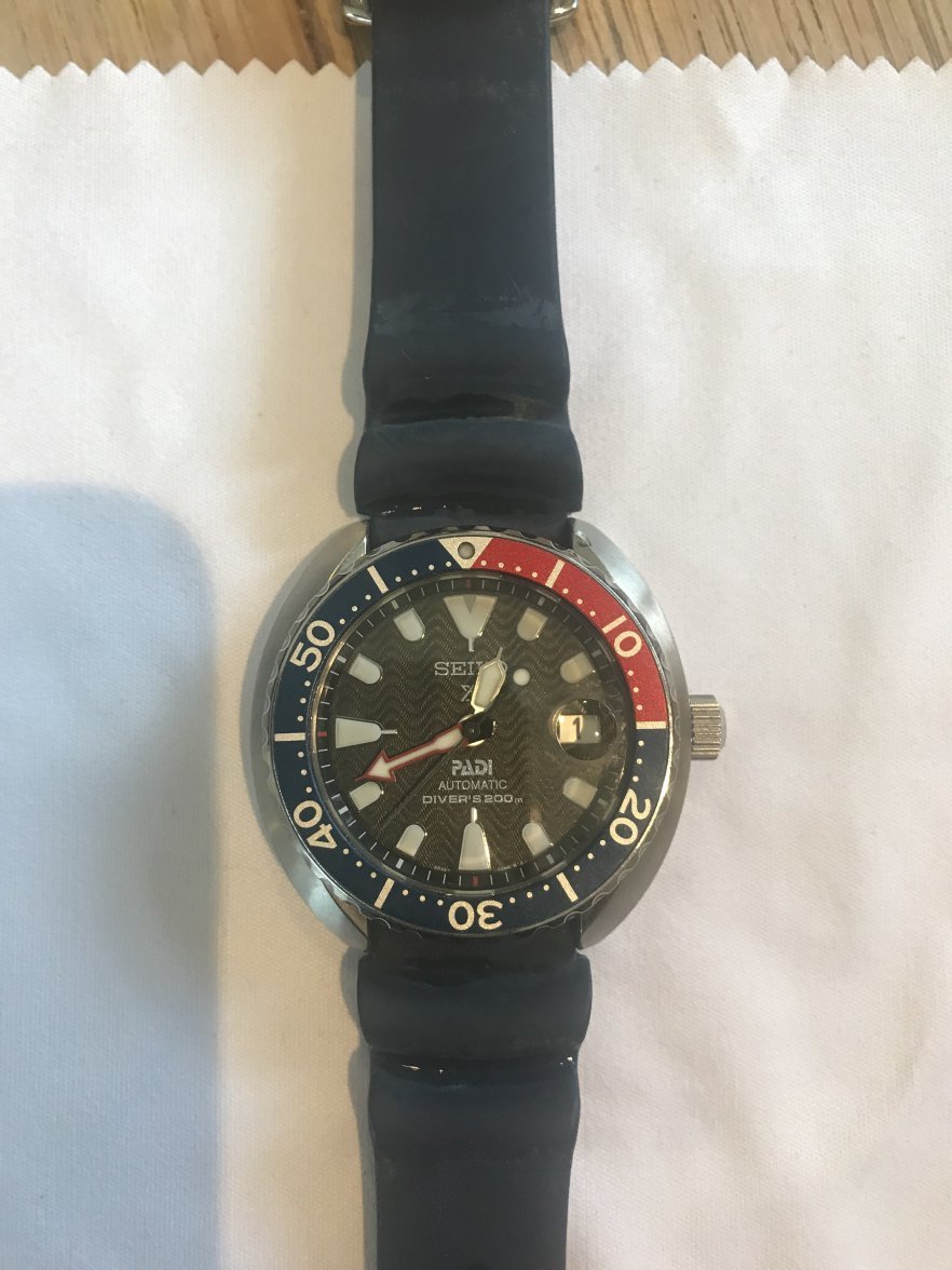 Seiko mini clearance turtle forum