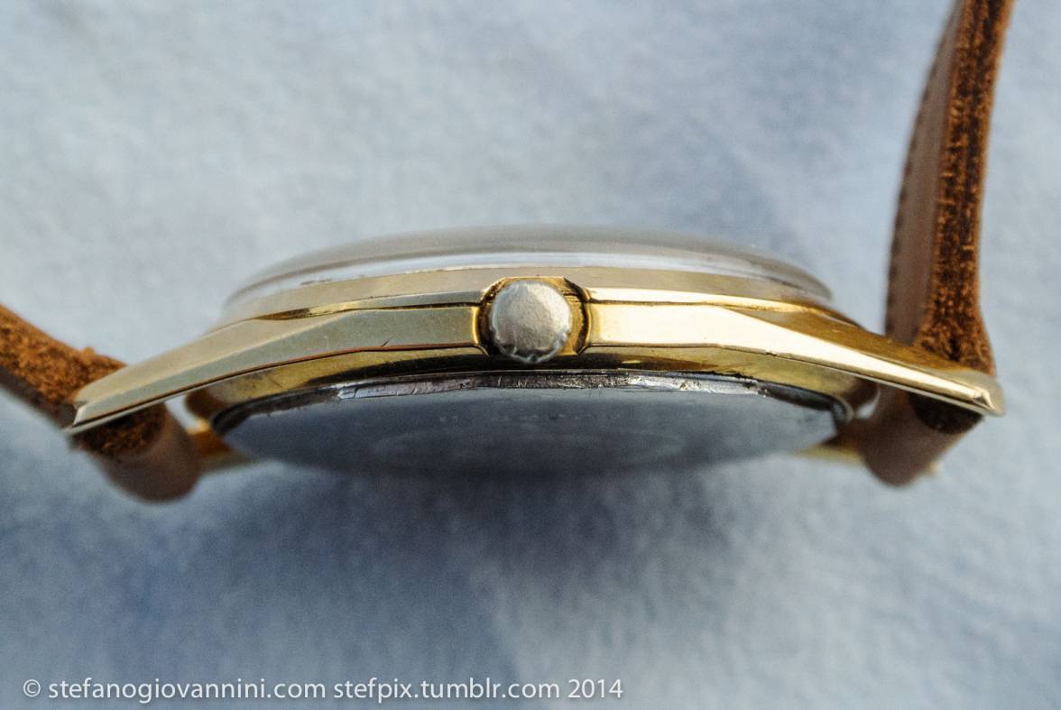 DSC_9176.jpg DSC_9176.jpg