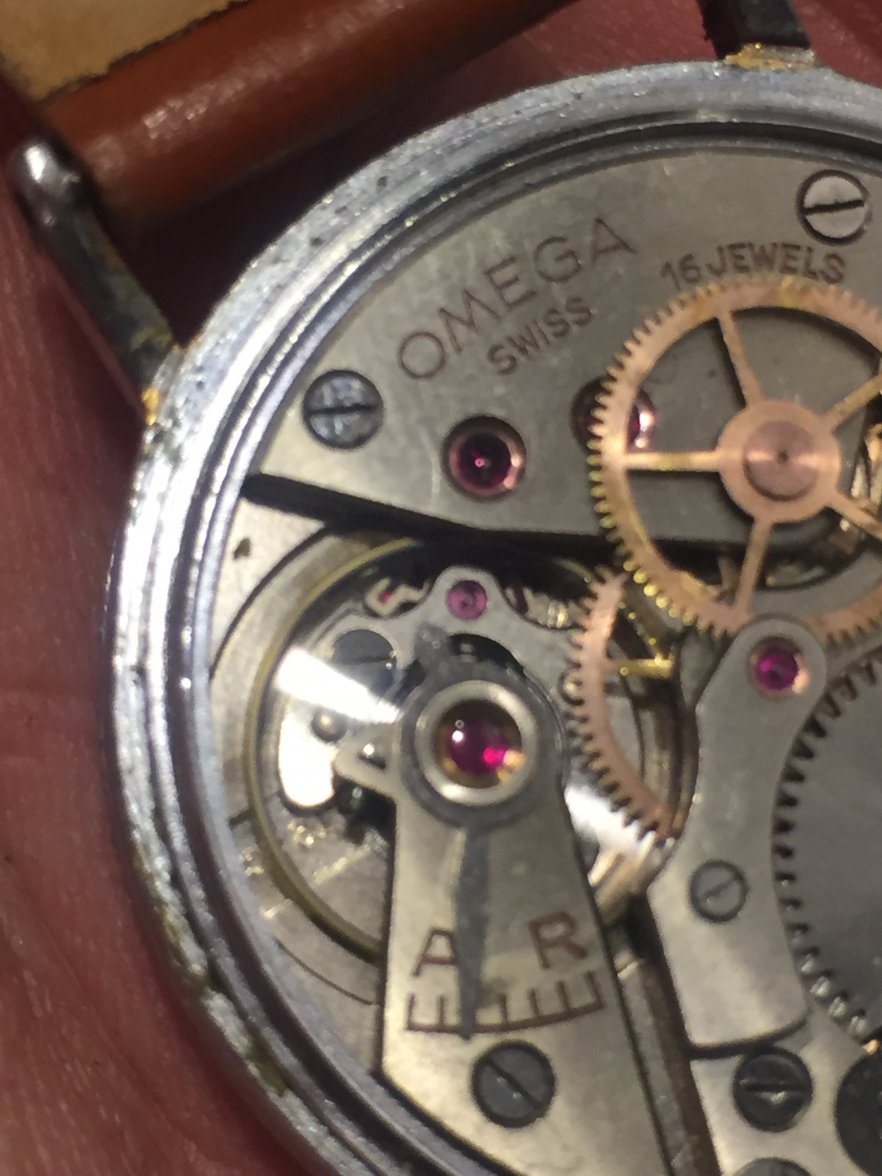 IMG_5201.JPG IMG_5201.JPG