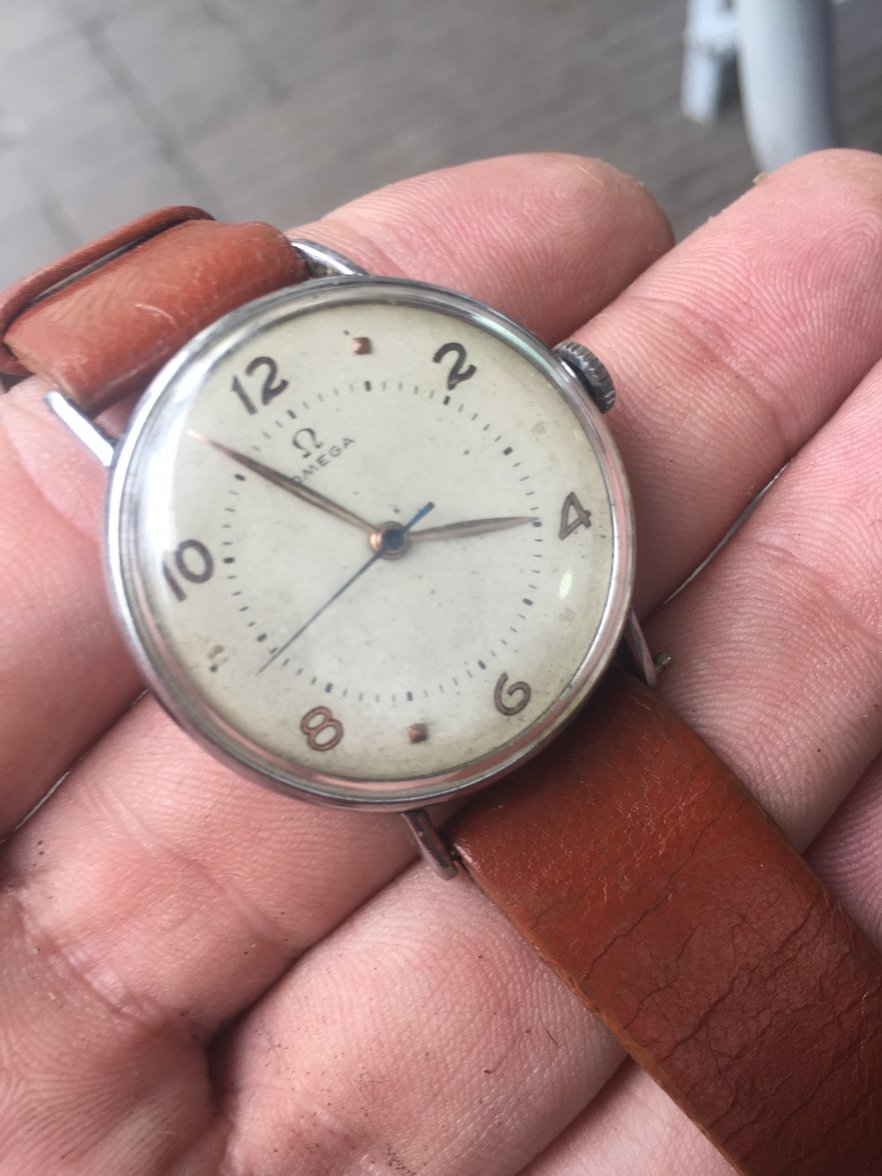 IMG_6372.JPG IMG_6372.JPG