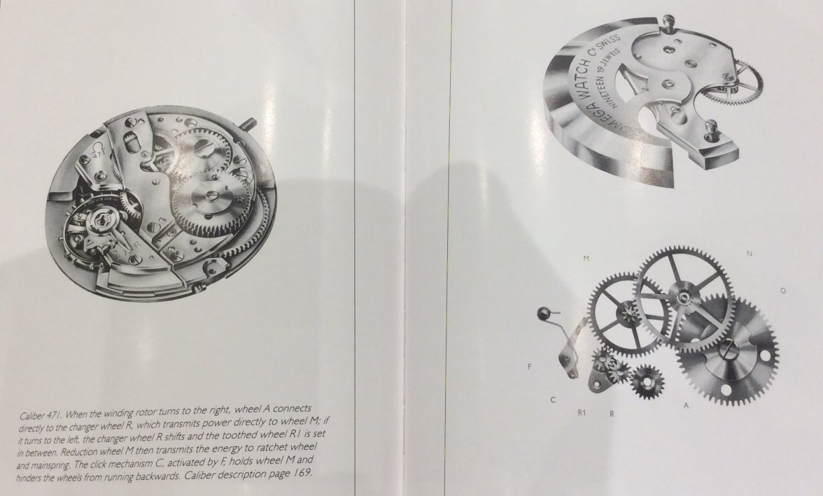 7D803496-3CFE-424F-AFAC-844CCC015ED3.jpeg 7D803496-3CFE-424F-AFAC-844CCC015ED3.jpeg