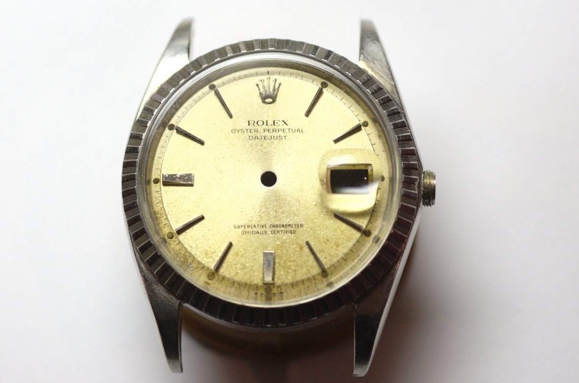 DSC_6908.jpeg DSC_6908.jpeg