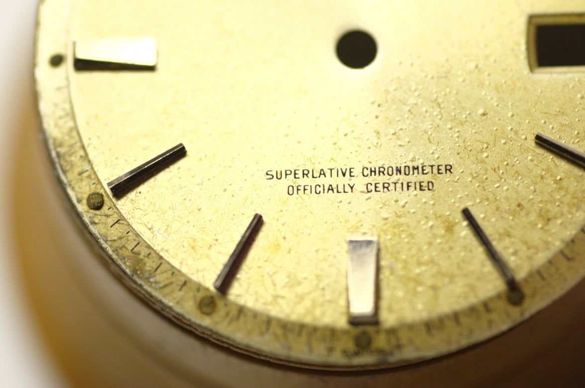 DSC_6906.jpeg DSC_6906.jpeg