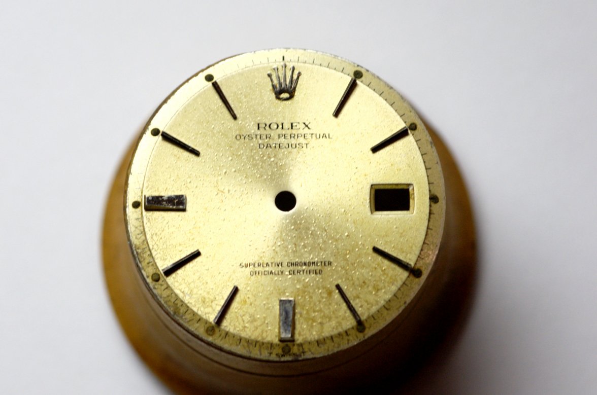 DSC_6905.jpeg DSC_6905.jpeg