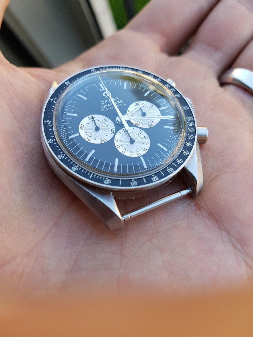SOLD - Speedy Tuesday 1 - 00XX / 2012 | Omega Forums