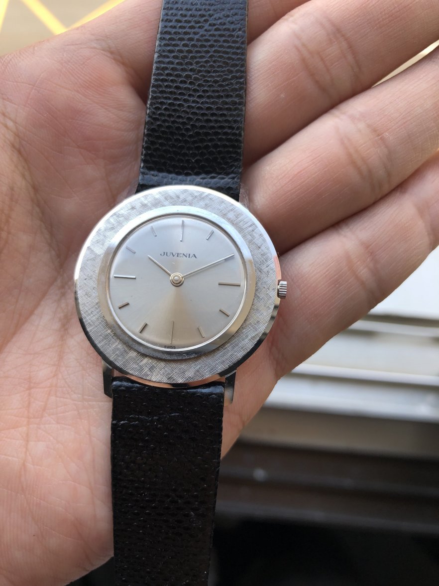 22F6E524-4C9C-4CE1-9E7A-58135DB6438E.jpeg 22F6E524-4C9C-4CE1-9E7A-58135DB6438E.jpeg