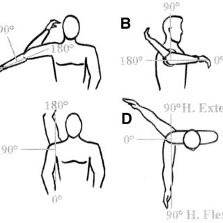 Definition-of-elbow-and-shoulder-angles-used-in-this-study-elbow-flexion-A-shoulder_Q320.jpg