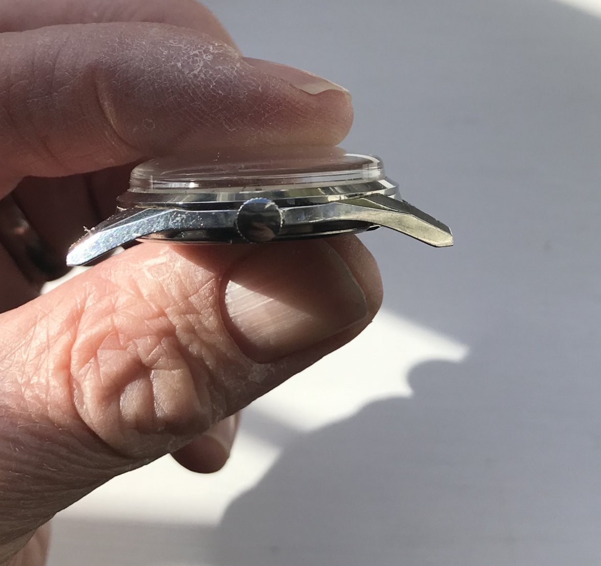 B5D58EC8-6E01-4322-A675-8BCEC60B6FEE.jpeg B5D58EC8-6E01-4322-A675-8BCEC60B6FEE.jpeg