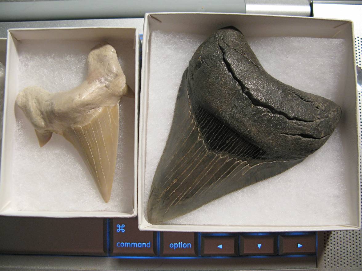 IMG_6921.JPG IMG_6921.JPG