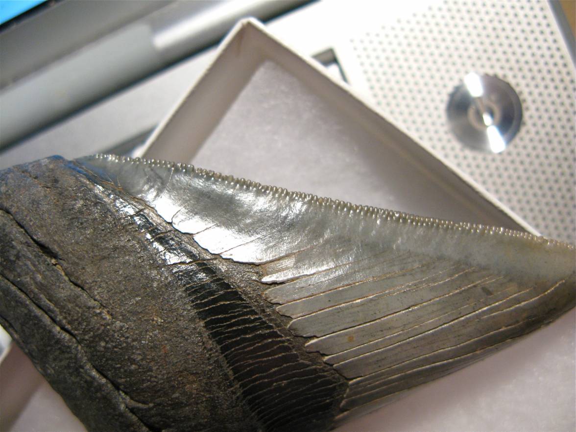 IMG_6922.JPG IMG_6922.JPG