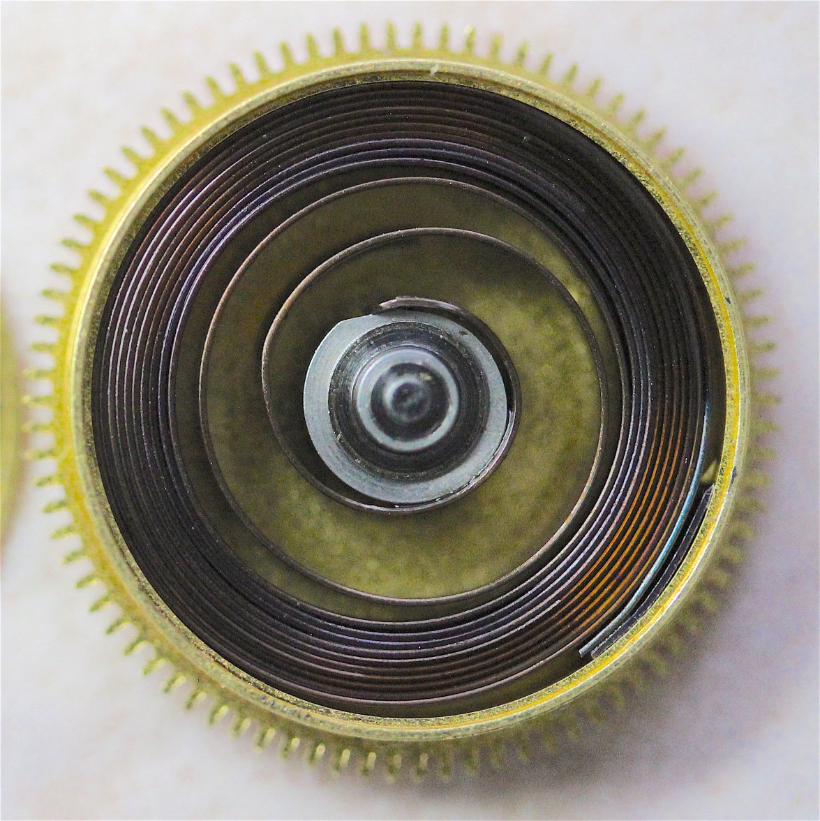 Mainspring_in_Barrel_old.JPG