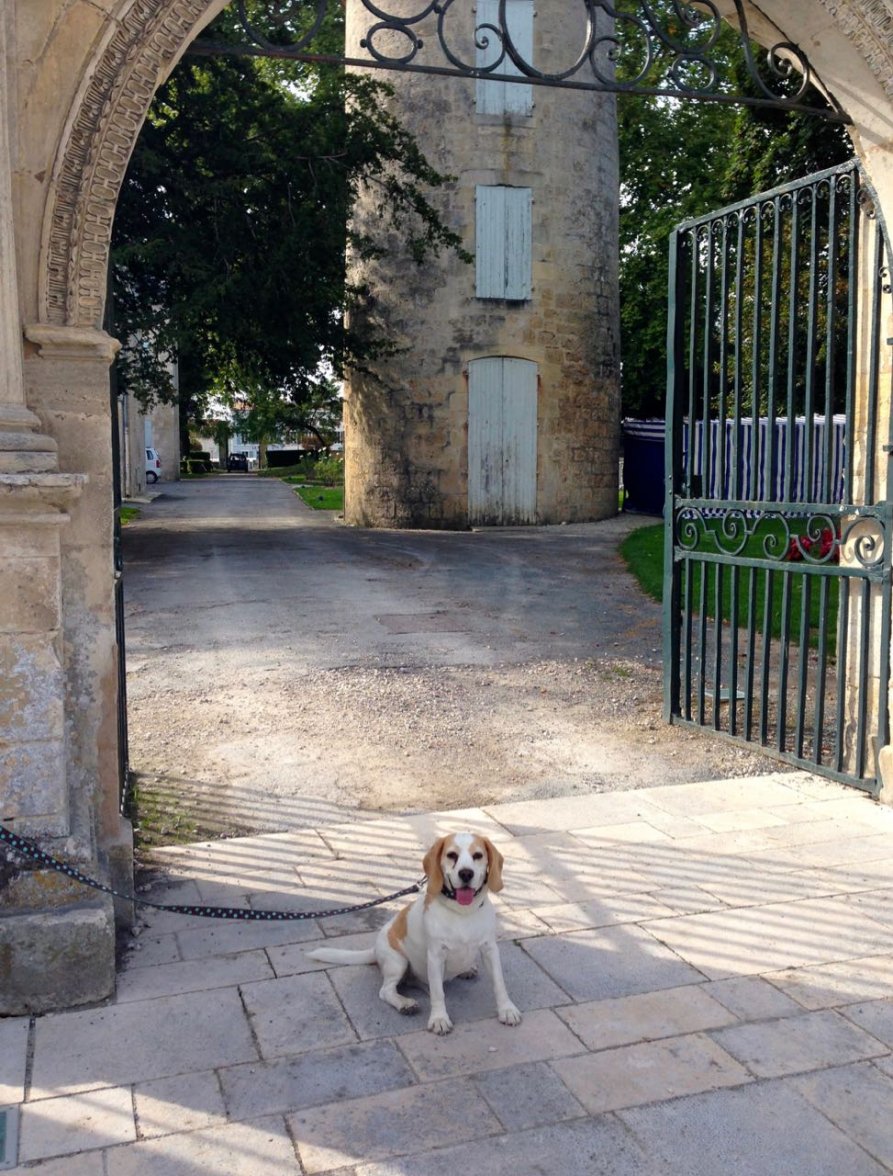 Screenshot 2019-03-29 at 08.48.43.jpg