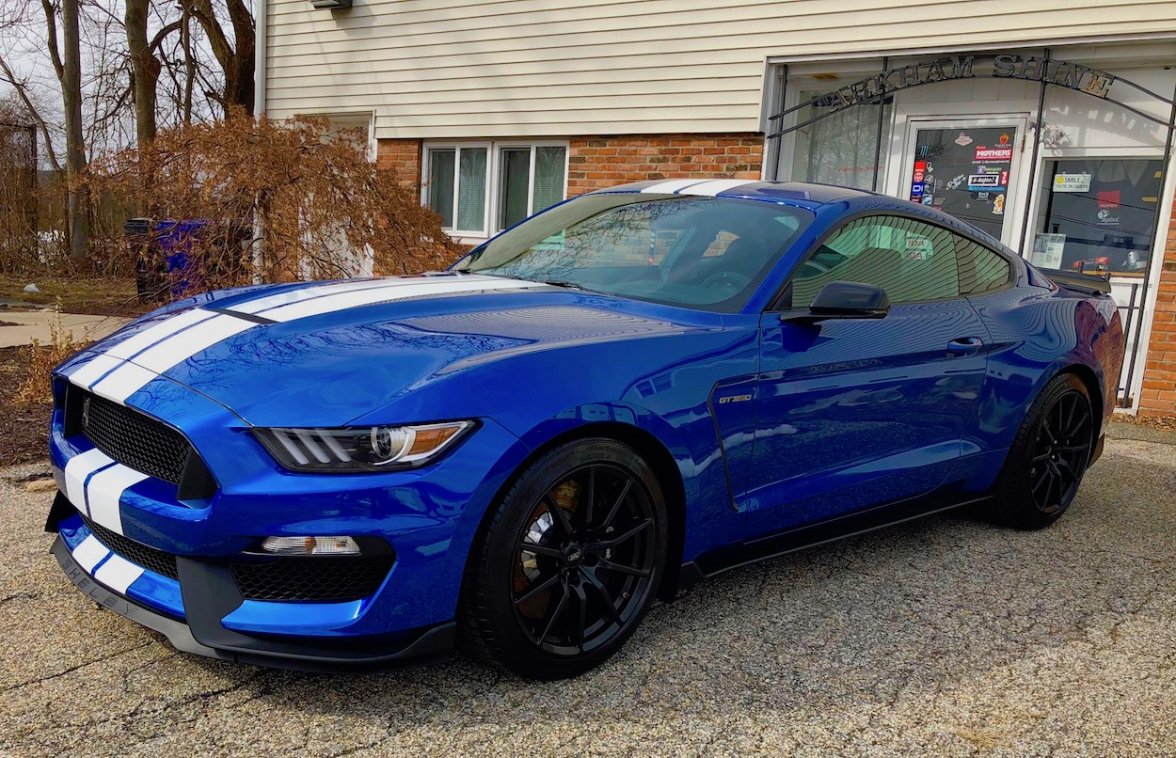 GT350-Shine Forum.jpg