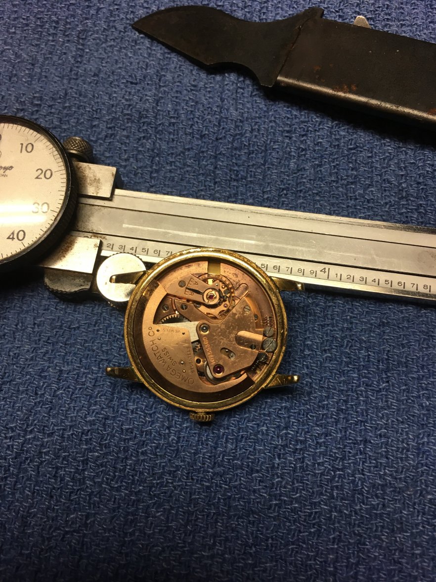 079D4F26-D4C0-4B1C-A0E7-3B81F5CE15CD.jpeg 079D4F26-D4C0-4B1C-A0E7-3B81F5CE15CD.jpeg