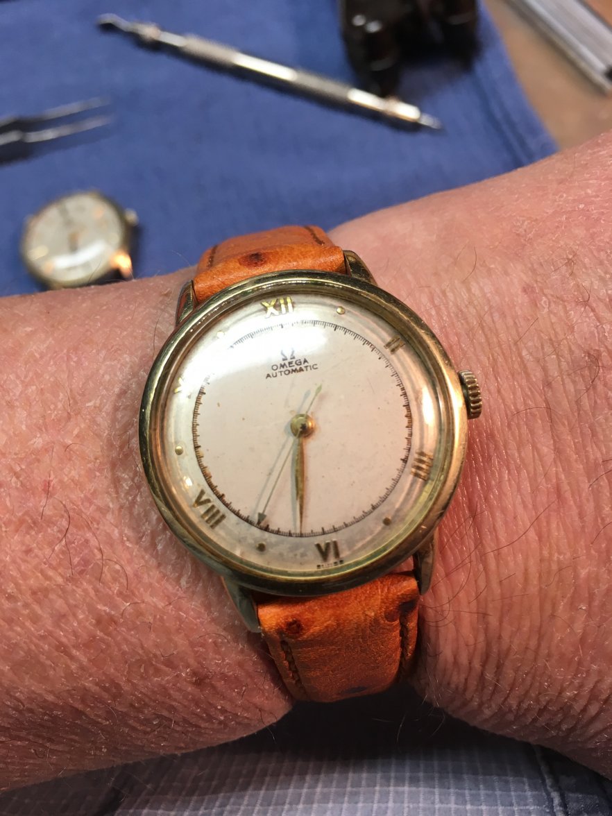 C82BA69C-841C-49D9-8509-84CEC552E4DA.jpeg C82BA69C-841C-49D9-8509-84CEC552E4DA.jpeg