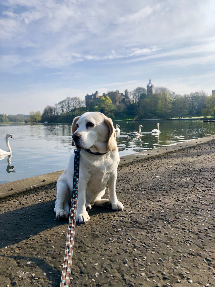 fullsizeoutput_c59e.jpeg fullsizeoutput_c59e.jpeg