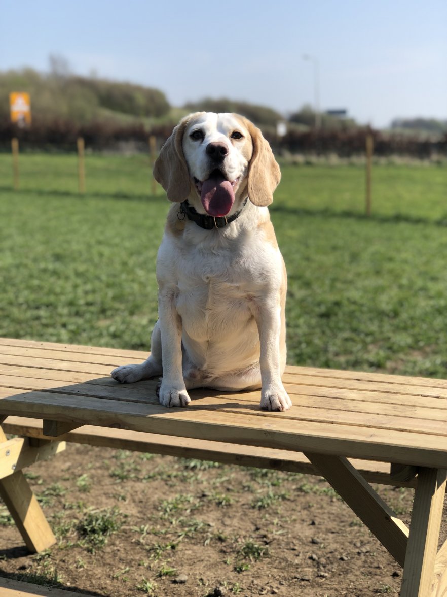 IMG_9584.jpg IMG_9584.jpg