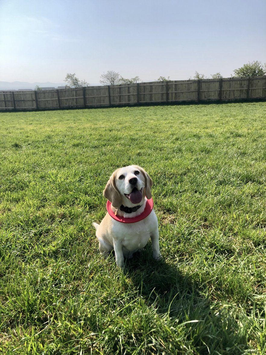 fullsizeoutput_c59d.jpeg fullsizeoutput_c59d.jpeg