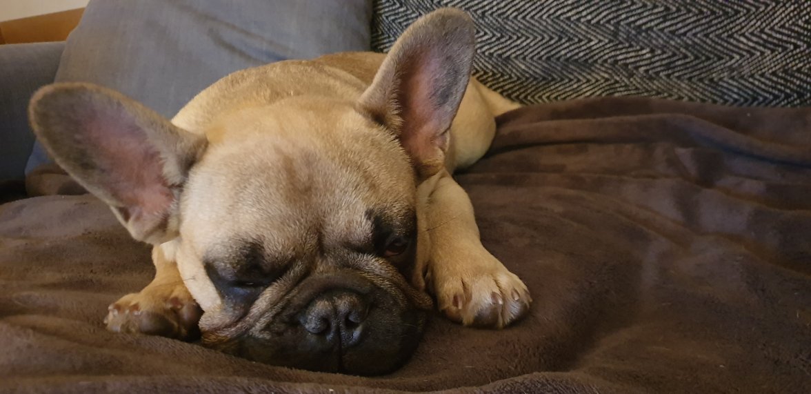 20190415_000404.jpg 20190415_000404.jpg