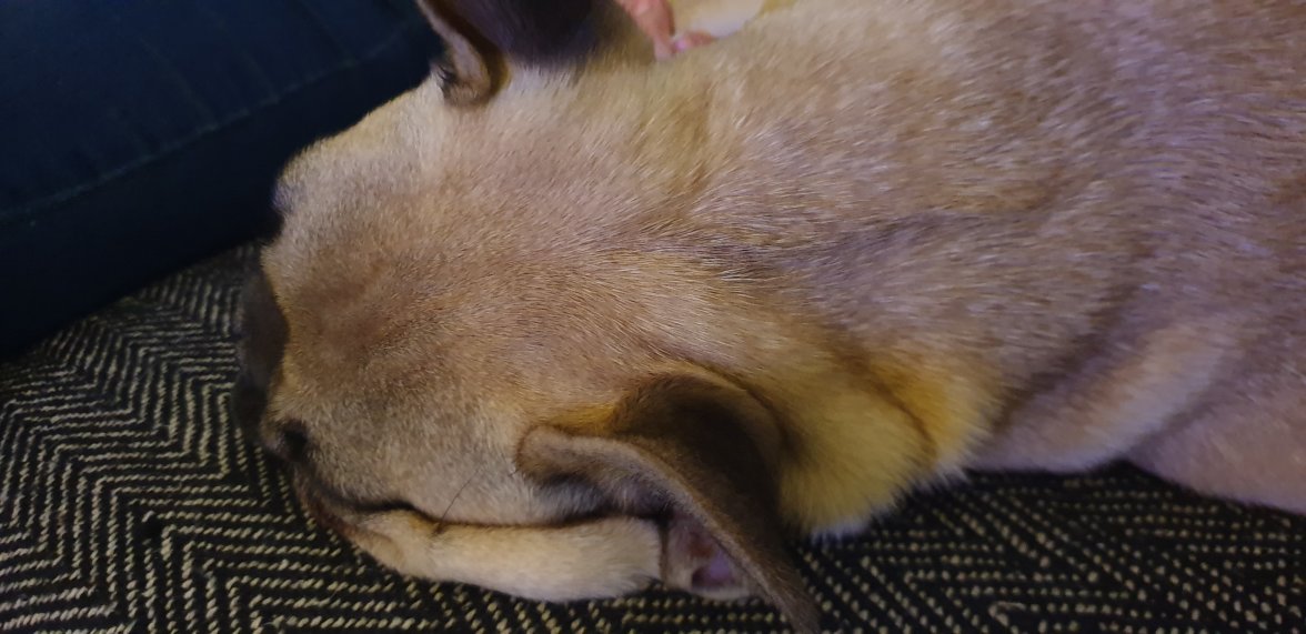 20190414_234221.jpg 20190414_234221.jpg