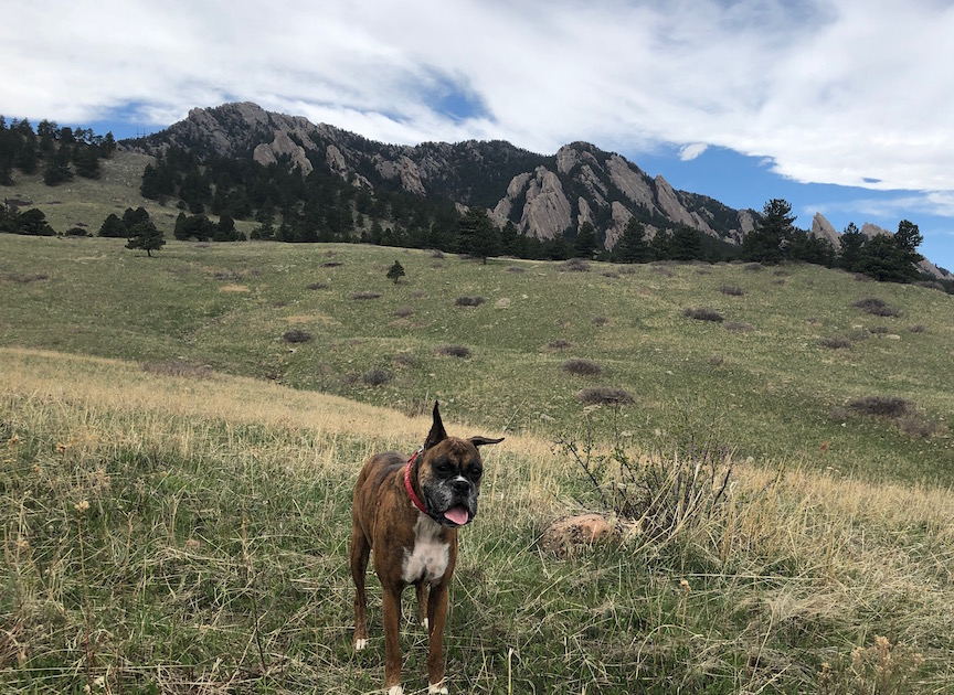 IMG_2850.jpg IMG_2850.jpg