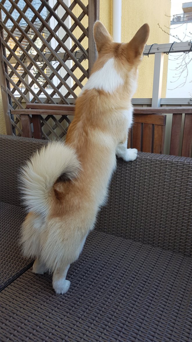 20190417_175905.jpg 20190417_175905.jpg