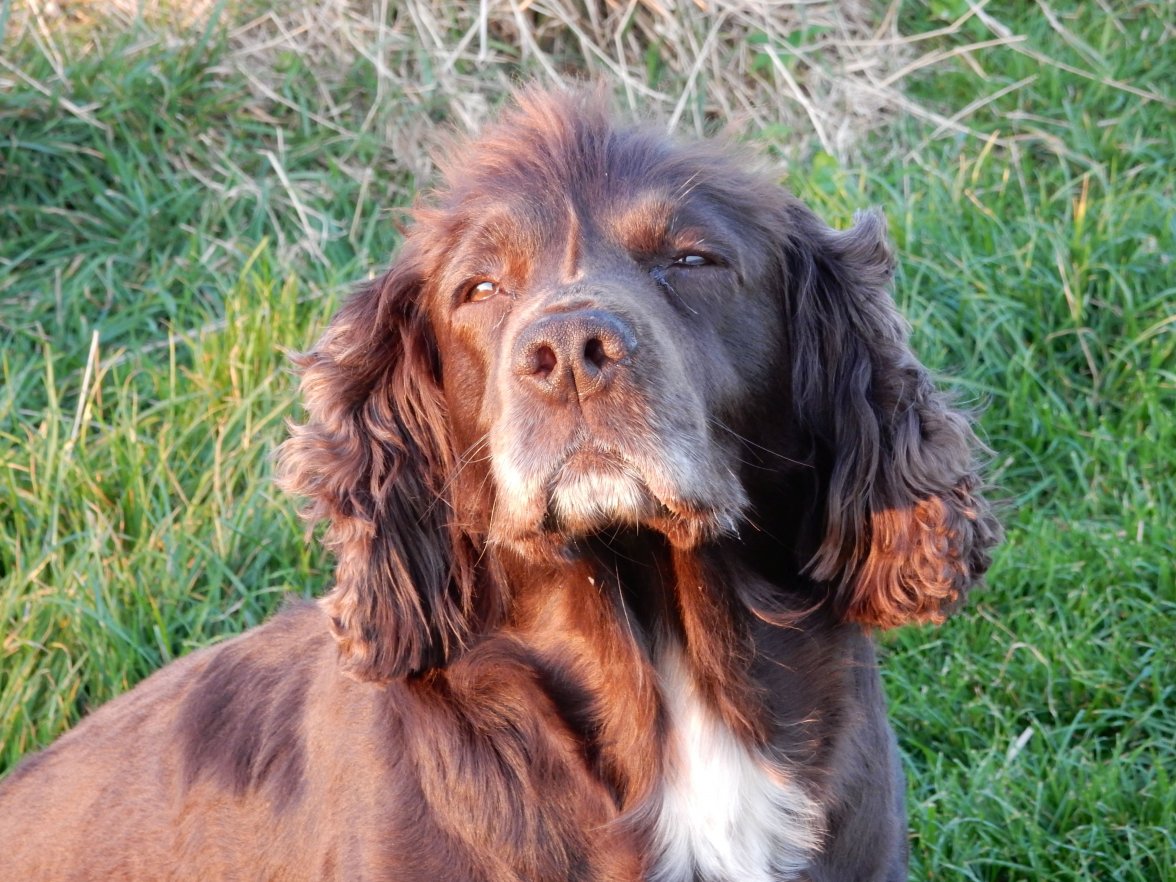 ISA SPRING TRIM 5 220419.jpg ISA SPRING TRIM 5 220419.jpg