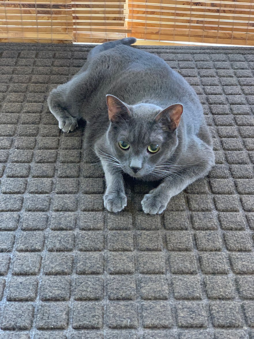 IMG_8900.jpeg IMG_8900.jpeg