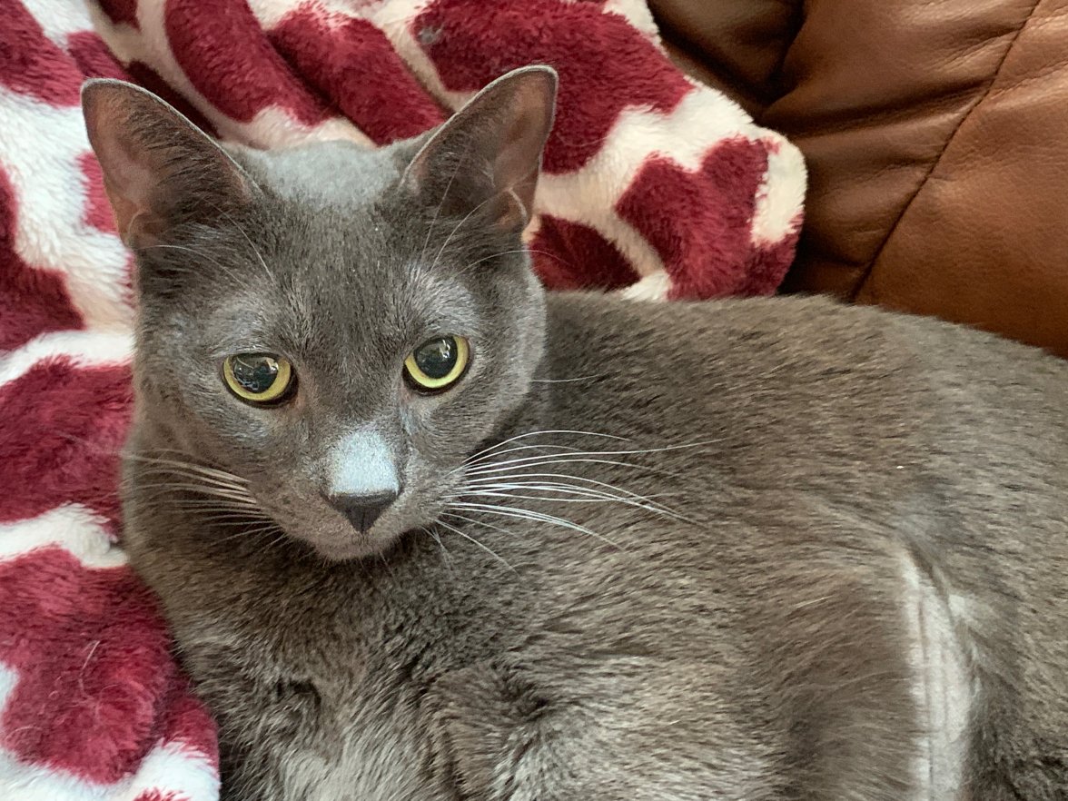 IMG_8901.jpeg IMG_8901.jpeg