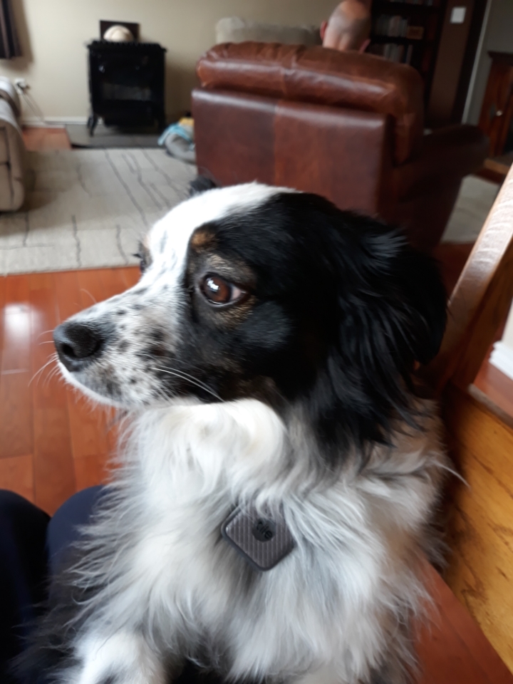 IMG_9108.jpg IMG_9108.jpg