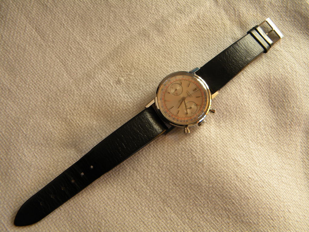 1379931.JPG 1379931.JPG